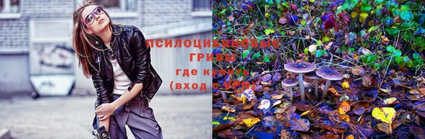 мяу мяу мука Беломорск