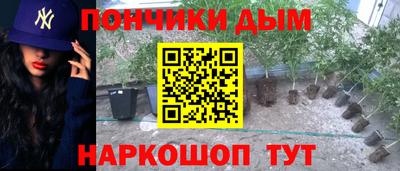 спиды Славгород