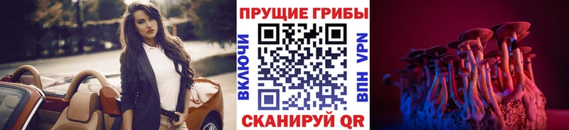 Галлюциногенные грибы прущие грибы  купить наркотик  Верхняя Пышма 